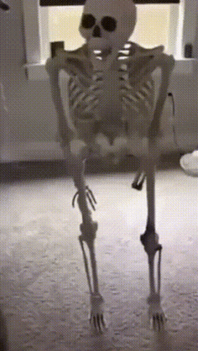 A Skeleton Is Standing In Front Of A Window In A Dark Room GIF
