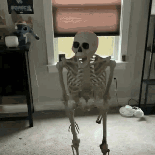 A Skeleton Is Standing In Front Of A Window In A Room .. GIF