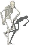 A Skeleton Is Standing On A Skateboard With A Shadow On The Ground . Sticker