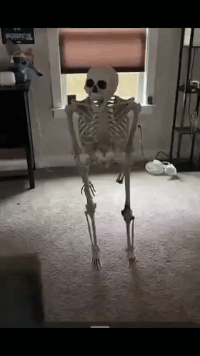 A Skeleton Is Standing On Its Hind Legs In A Living Room . GIF