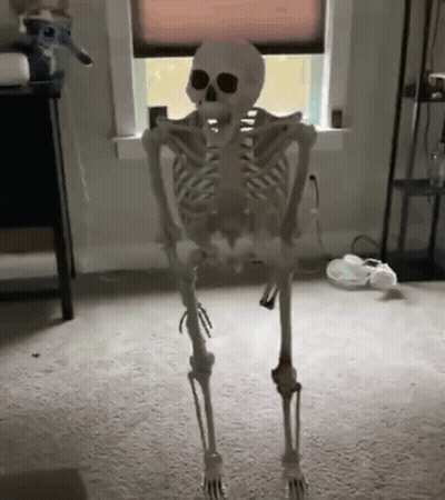 A Skeleton Is Standing On Its Hind Legs In A Living Room . GIF
