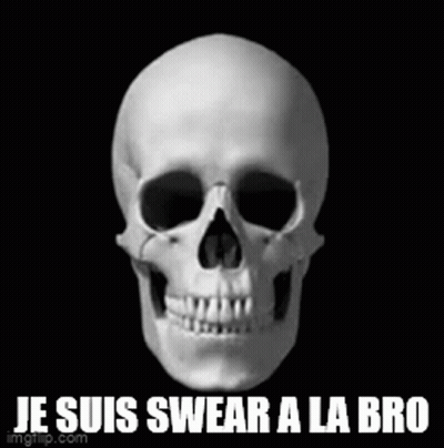 A Skull With The Words Je Suis Swear A La Bro Written Below It GIF