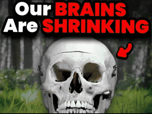 A Skull With The Words " Our Brains Are Shrinking " Behind It GIF