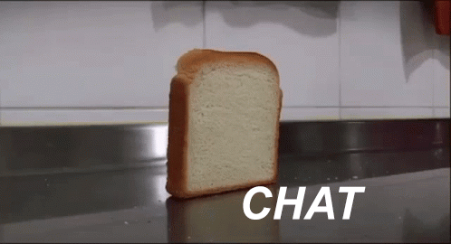 A Slice Of Bread Is Sitting On A Counter With The Word Chat Above It GIF