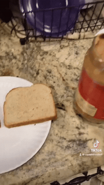A Slice Of Bread On A Paper Plate Next To A Jar Of Peanut Butter GIF