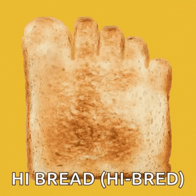 A Slice Of Bread That Looks Like A Foot With The Words Hi Bread ( Hi-Bred ) Written Below It . GIF