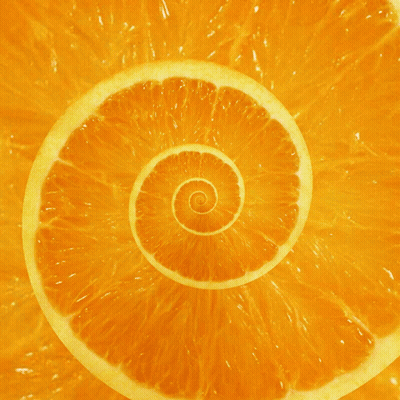 A Slice Of Orange With A Spiral In The Center GIF