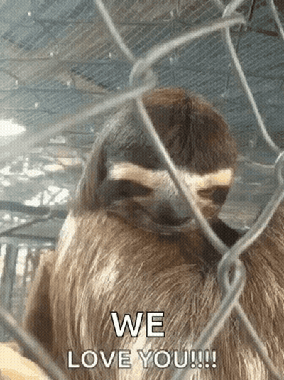 A Sloth In A Cage With The Words We Love You GIF