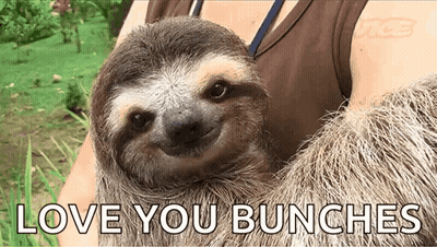 A Sloth Is Being Held By A Woman With The Words Love You Bunches Written On The Bottom GIF