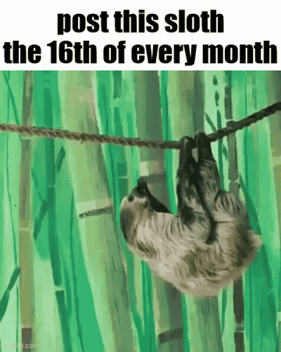 A Sloth Is Hanging From A Rope With The Words `` Post This Sloth The 16Th Of Every Month '' Written On It . GIF