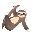 A Sloth Is Hanging On A Tree Branch . Sticker