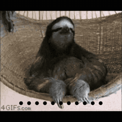A Sloth Is Laying In A Hammock With A 4Gifs.com Logo In The Corner GIF