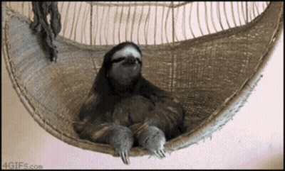 A Sloth Is Laying In A Hammock With The Website 4Gifs.com Visible GIF