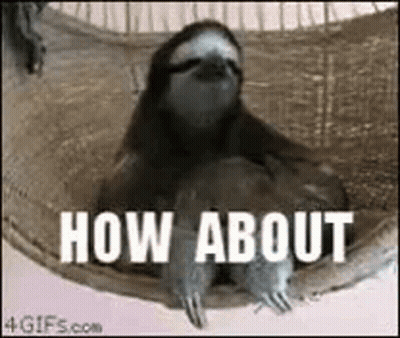 A Sloth Is Laying In A Hammock With The Words `` How About '' Written Above It . GIF