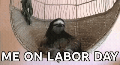 A Sloth Is Laying In A Hammock With The Words `` Me On Labor Day '' Written Above It . GIF