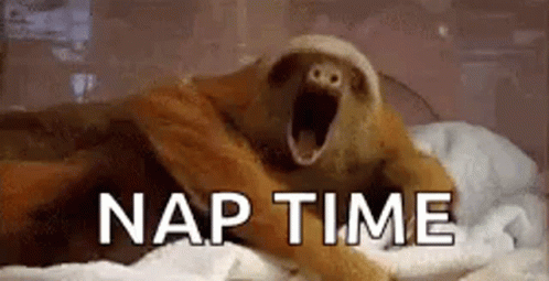 A Sloth Is Laying On A Bed With Its Mouth Open And The Words `` Nap Time '' Written Below It . GIF