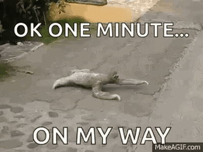 A Sloth Is Laying On The Ground On A Sidewalk . GIF