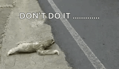 A Sloth Is Laying On The Side Of The Road With The Words `` Do N't Do It '' . GIF