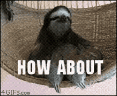 A Sloth Is Sitting In A Hammock With The Words " How About " Written On It GIF