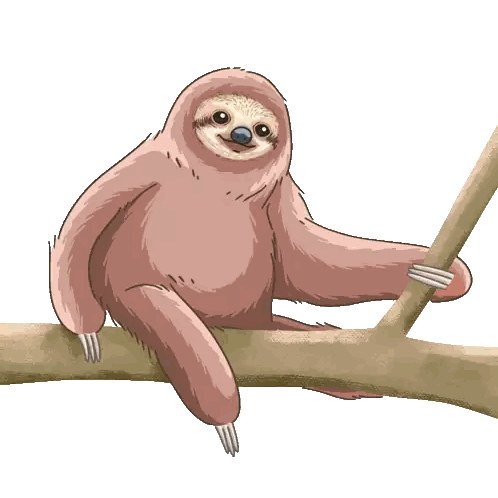 A Sloth Is Sitting On A Tree Branch And Looking At The Camera Sticker