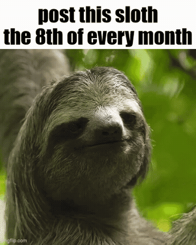 A Sloth With The Words Post This Sloth The 8Th Of Every Month GIF