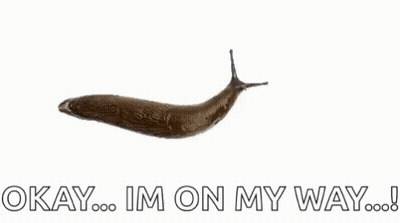 A Slug Is Crawling On A White Background With The Words `` Okay ... Im On My Way ... '' Written Below It . GIF