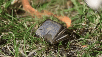 A Small Book Is Laying On The Grass Next To A Ball . GIF