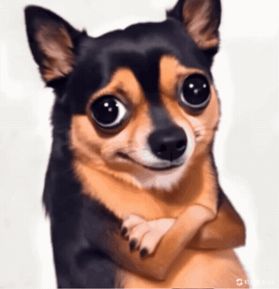 A Small Brown And Black Dog With Big Eyes Making A Face GIF