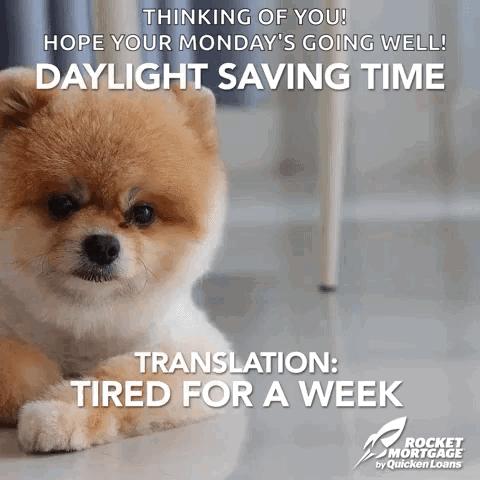A Small Brown And White Dog Is Laying On The Floor With The Caption " Thinking Of You " GIF