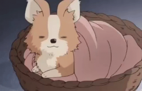 A Small Brown And White Dog Is Sleeping In A Basket With A Pink Blanket . GIF
