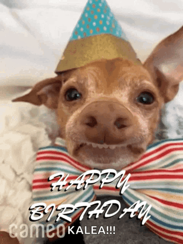 A Small Brown Dog Wearing A Party Hat And Bow Tie GIF