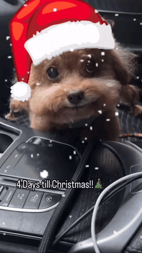 A Small Brown Dog Wearing A Santa Hat And The Words 4 Days Till Christmas GIF