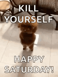 A Small Brown Poodle Is Standing On Its Hind Legs In A Living Room . GIF