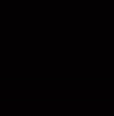 A Small Chihuahua Looking At The Camera With A Tail Hanging Over Its Head GIF
