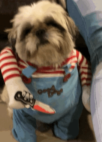 A Small Dog In A Chucky Costume Is Holding A Knife In Its Paw . GIF