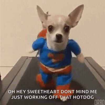 A Small Dog In A Superman Costume Is Running On A Treadmill GIF