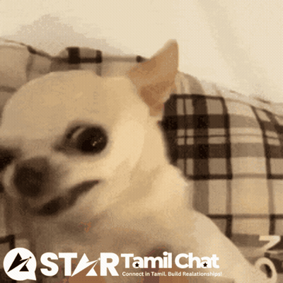 A Small Dog Is Smiling In Front Of A Sign That Says Start Tamil Chat GIF