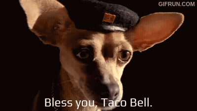 A Small Dog Wearing A Black Hat With The Words Bless You Taco Bell Below It GIF