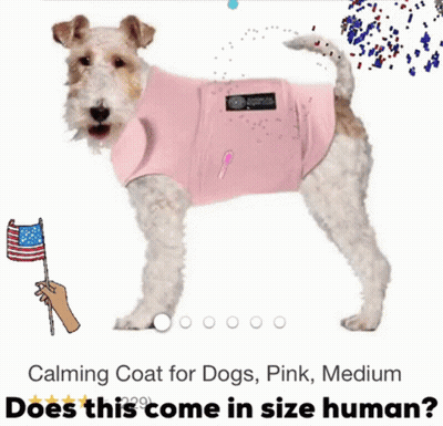 A Small Dog Wearing A Pink Calming Coat GIF