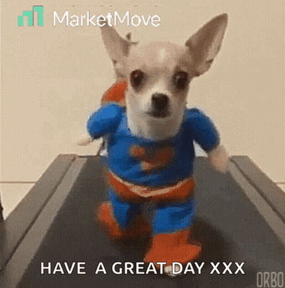 A Small Dog Wearing A Superman Costume Is Running On A Treadmill .. GIF