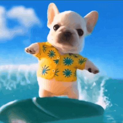 A Small Dog Wearing A Yellow Shirt Is Riding A Surfboard GIF