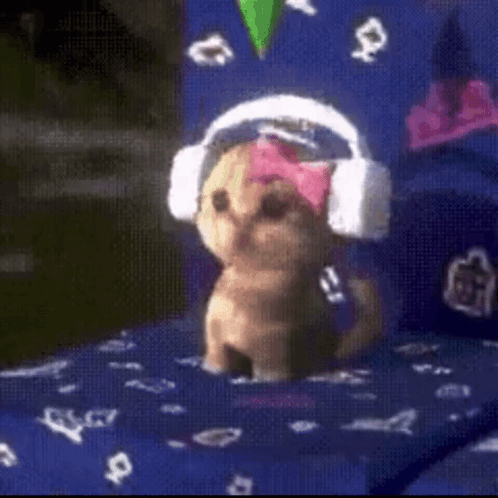 A Small Dog Wearing Headphones And A Bow On Its Head . GIF
