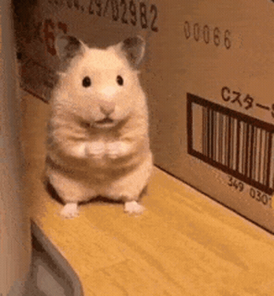 A Small Hamster Is Sitting On A Wooden Shelf Next To A Cardboard Box With A Barcode On It . GIF
