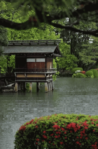 A Small House Sits On Stilts Over A Body Of Water GIF