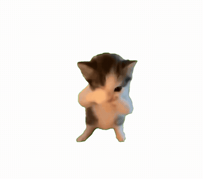 A Small Kitten Is Standing On Its Hind Legs And Looking At The Camera GIF