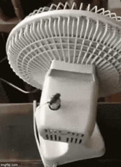 A Small Mouse Is Sitting On The Back Of A Fan . GIF