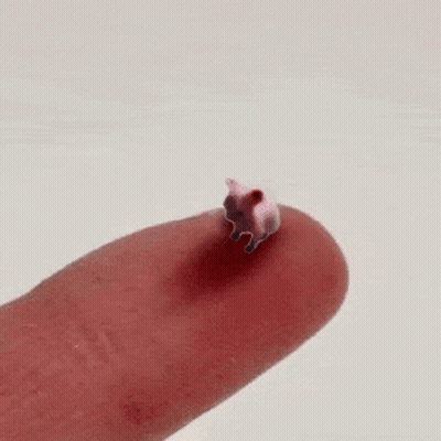 A Small Pink Pig Is Sitting On A Finger . GIF