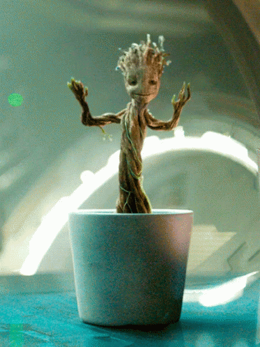 Dancing Small Plant In White Pot GIF
