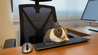 A Small Rabbit Is Sitting On A Keyboard Next To A Mouse GIF