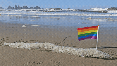 A Small Rainbow Flag Is On The Beach Near The Water GIF